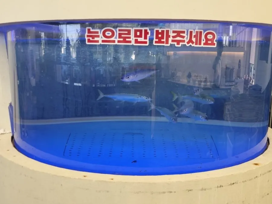 Dining hall of the grilled fish restaurant with widely arranged seating