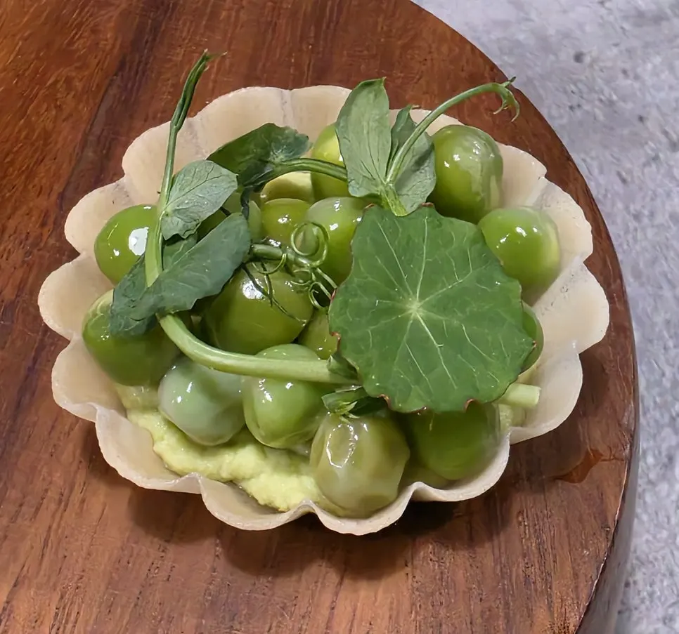Hado starter: pea tart