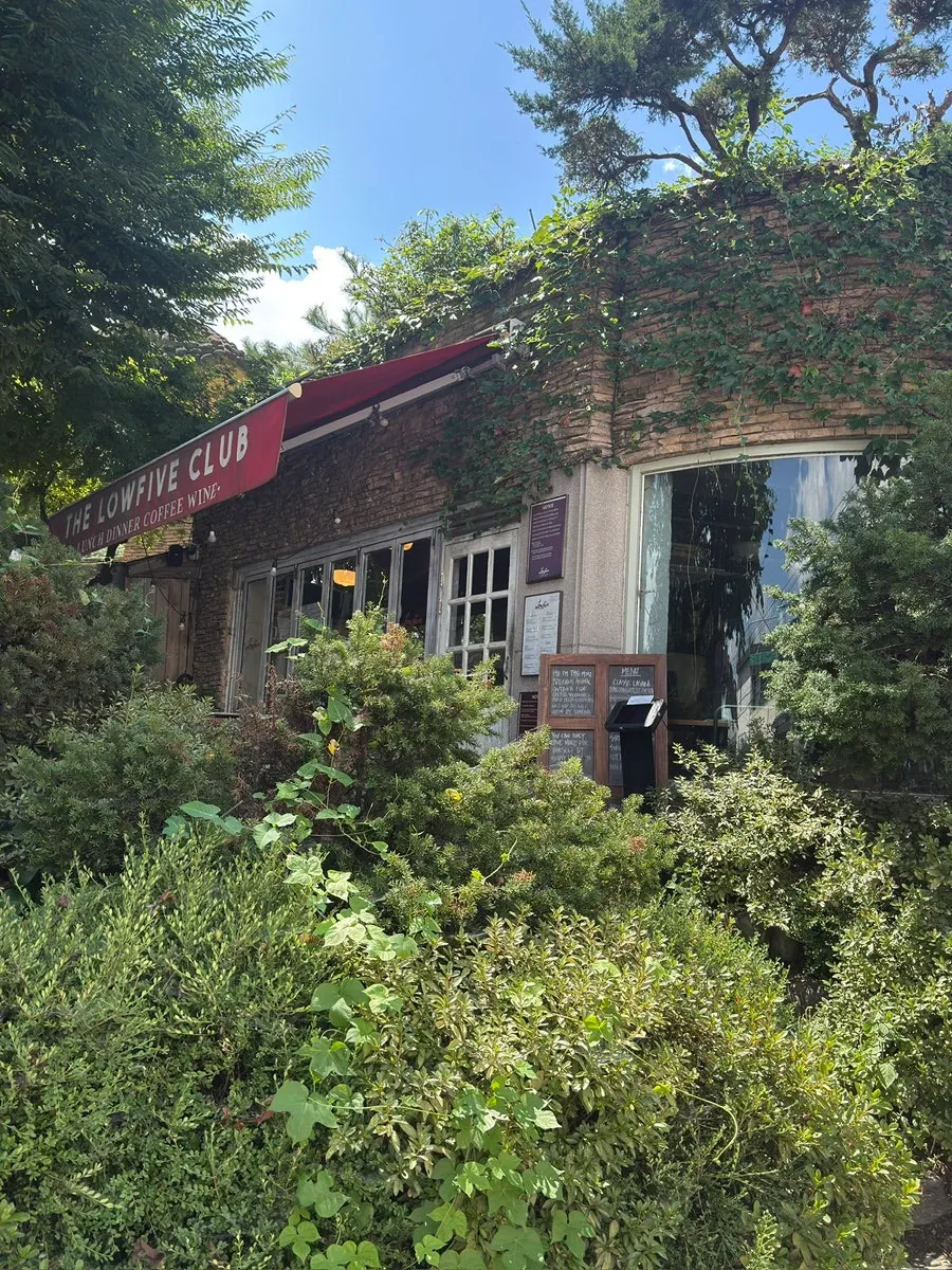 로우파이브 방문 정보가 안내된 매장 사진