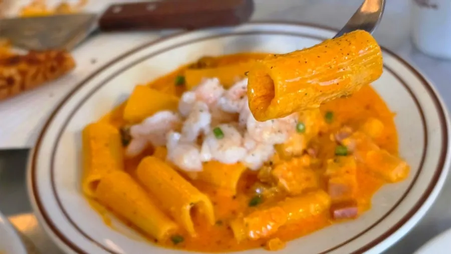 Rigatoni pasta with moist sauce