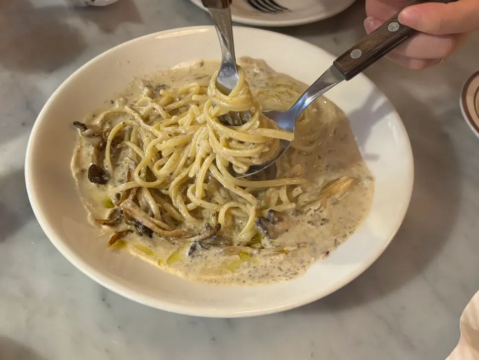 Truffle cream pasta