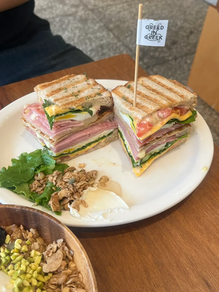 Warm grilled sandwich