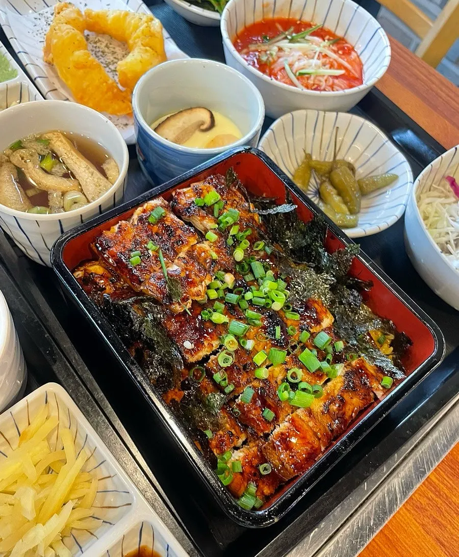 네모난 도시락 통에 담긴 사쿠리야 장어덮밥