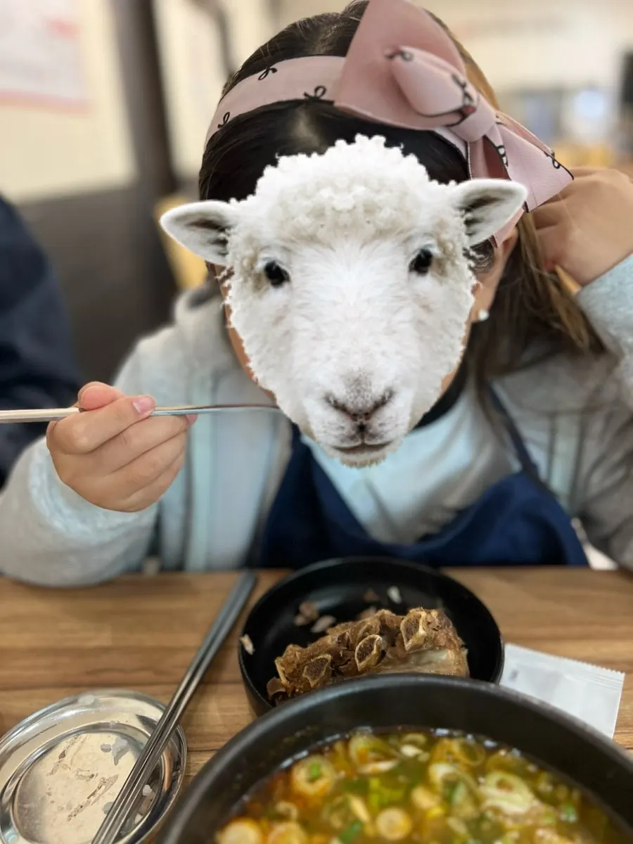 보통맛 뼈해장국 국물 클로즈업