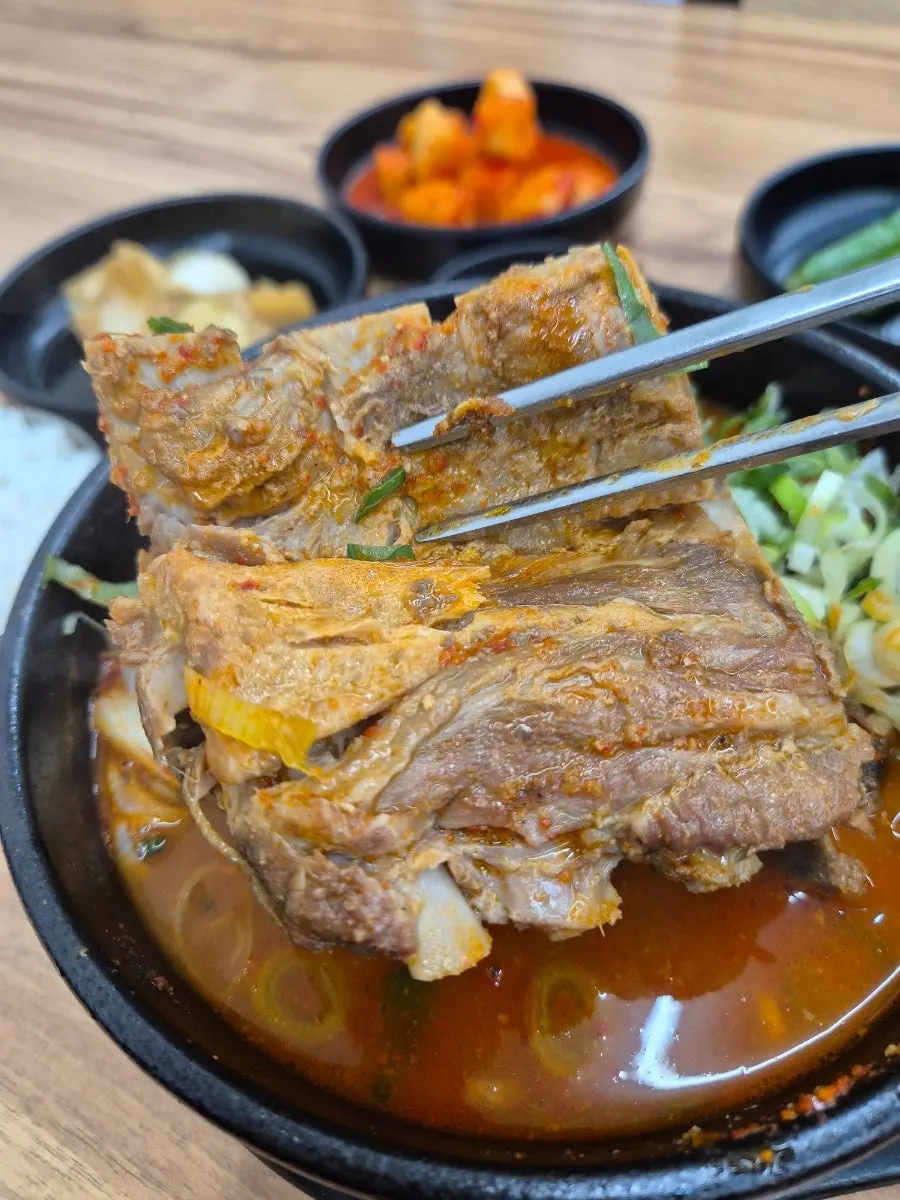 숟가락으로 떠올린 얼큰한맛 뼈해장국 국물