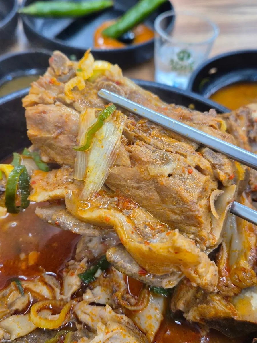 매운 청양고추가 담긴 반찬 접시