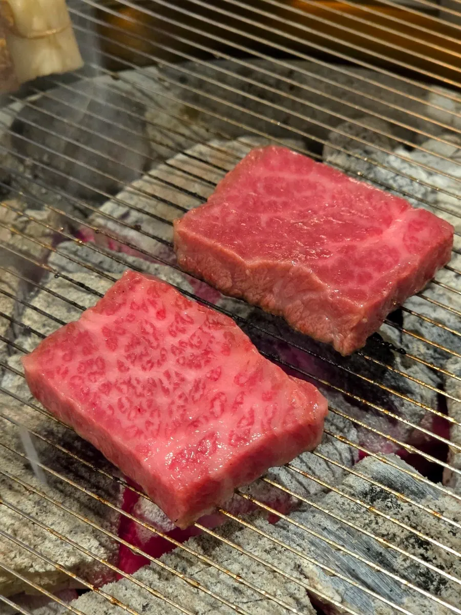 Hanwoo skirt steak with fine marbling