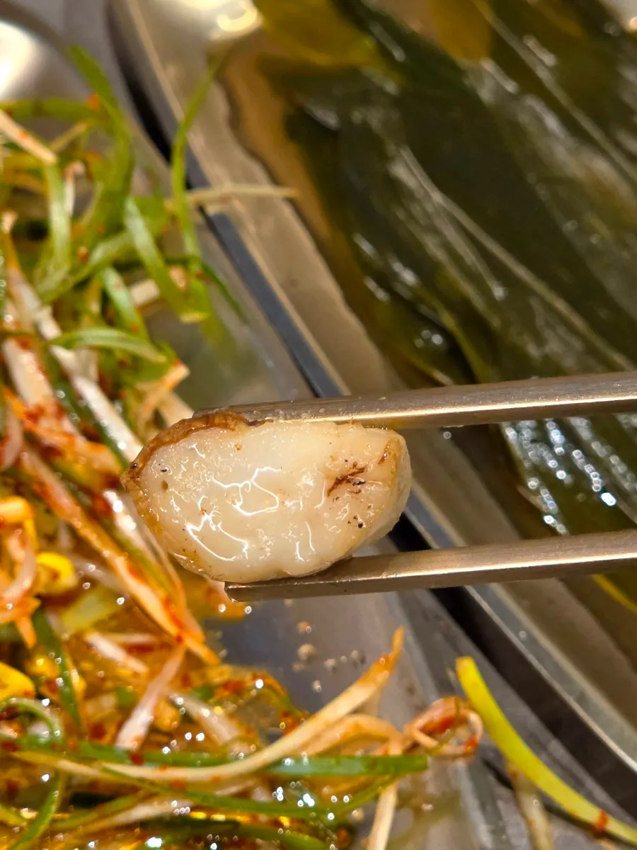 Side mushrooms grilled on the fire