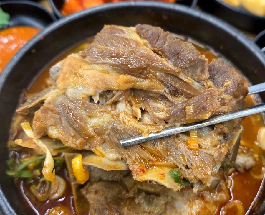 살코기가 가득 붙은 큼지막한 뼈
