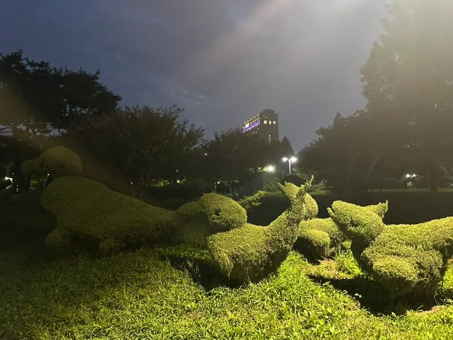 깔끔하게 관리된 효원공원 산책로