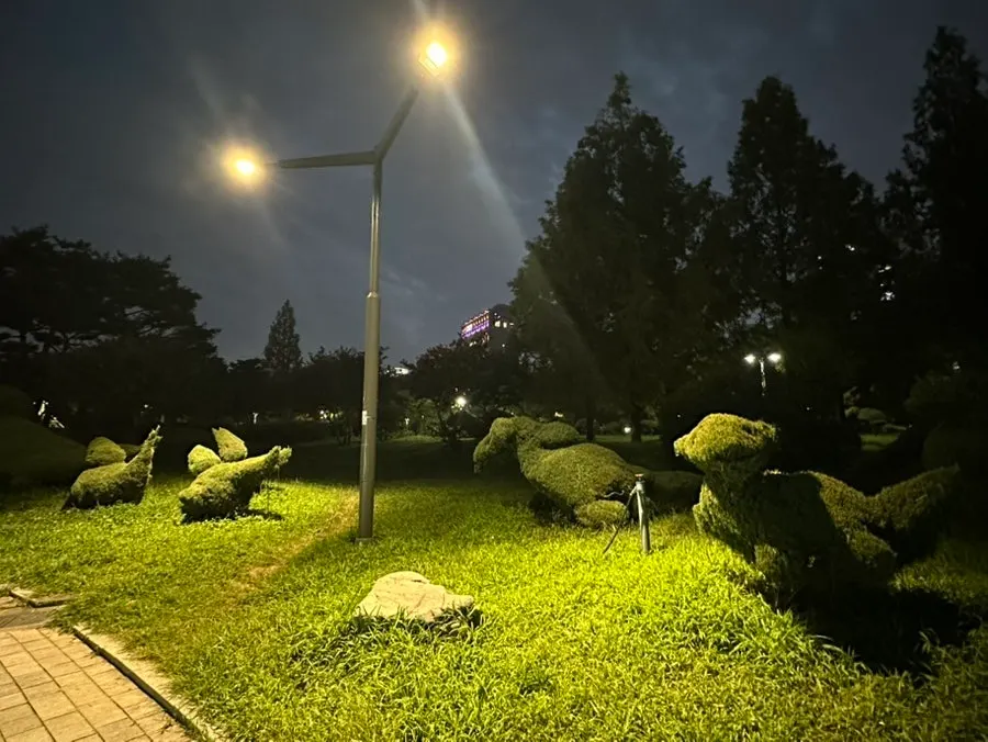 효원공원 조경과 산책 코스