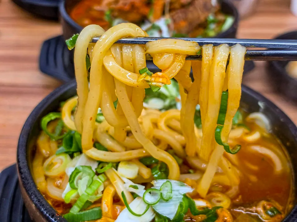 Broth and udon noodles in the mild pork bone udon soup