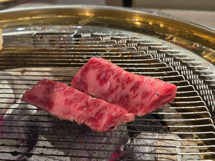 제비추리 한우 부위