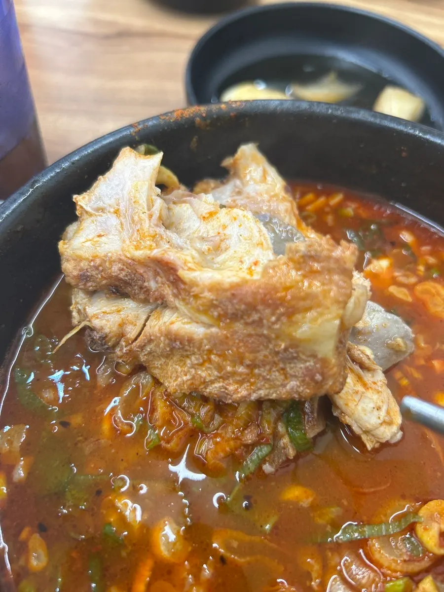 살코기 가득한 큼지막한 뼈