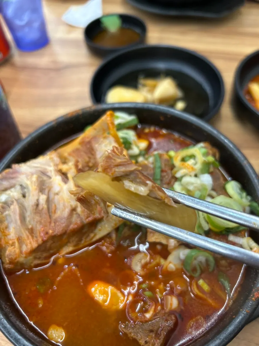 겨자소스에 찍어 먹는 살코기