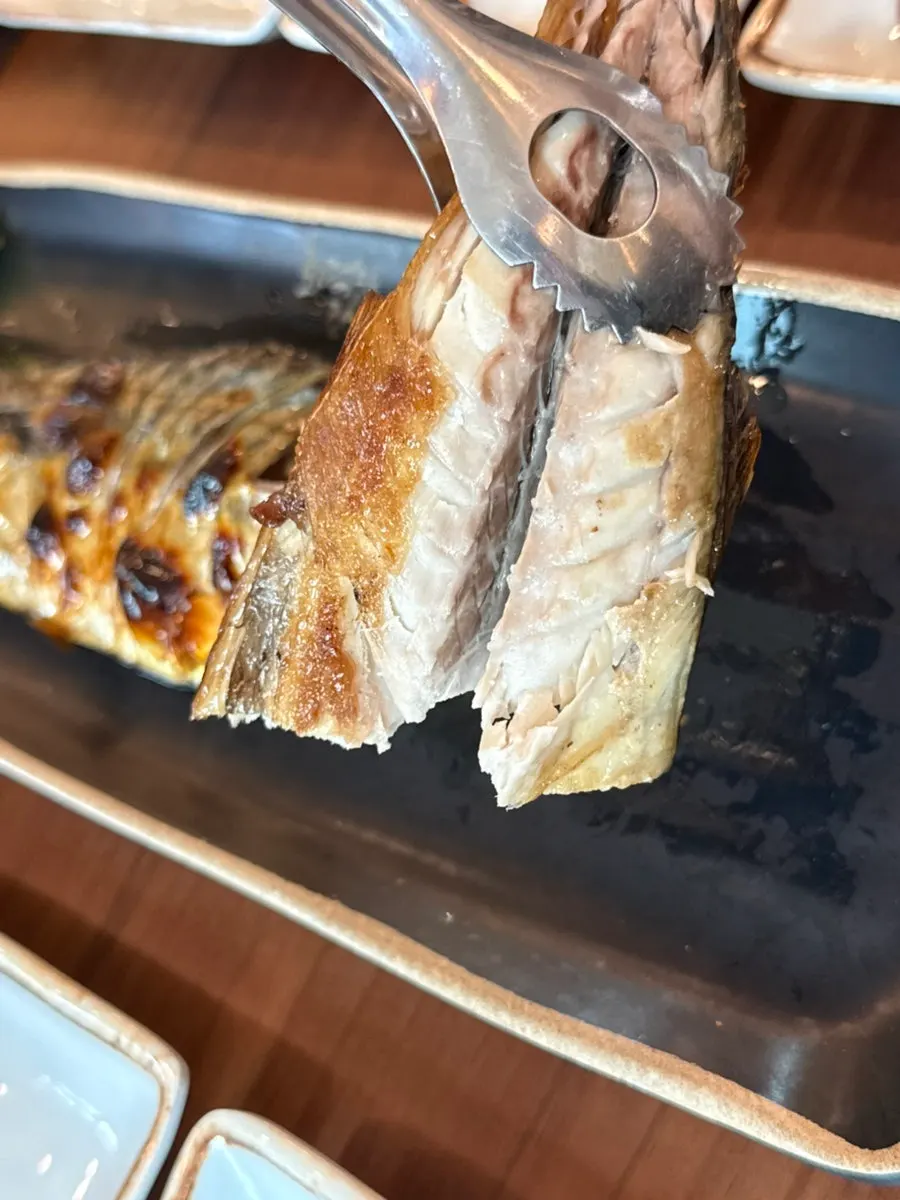 Moist mackerel flesh pulled apart with chopsticks