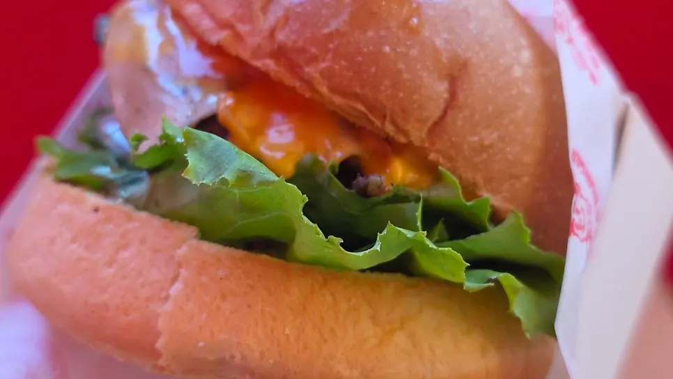 Cross-section of The Mushroom Burger and patty