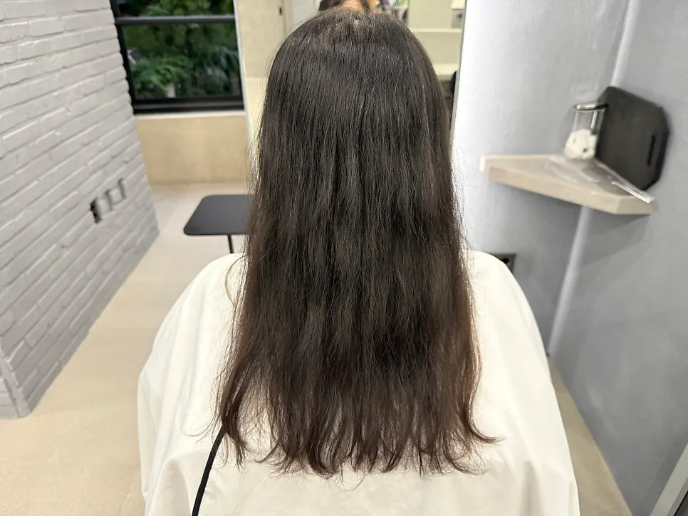 커트 전 푸석한 모발 상태