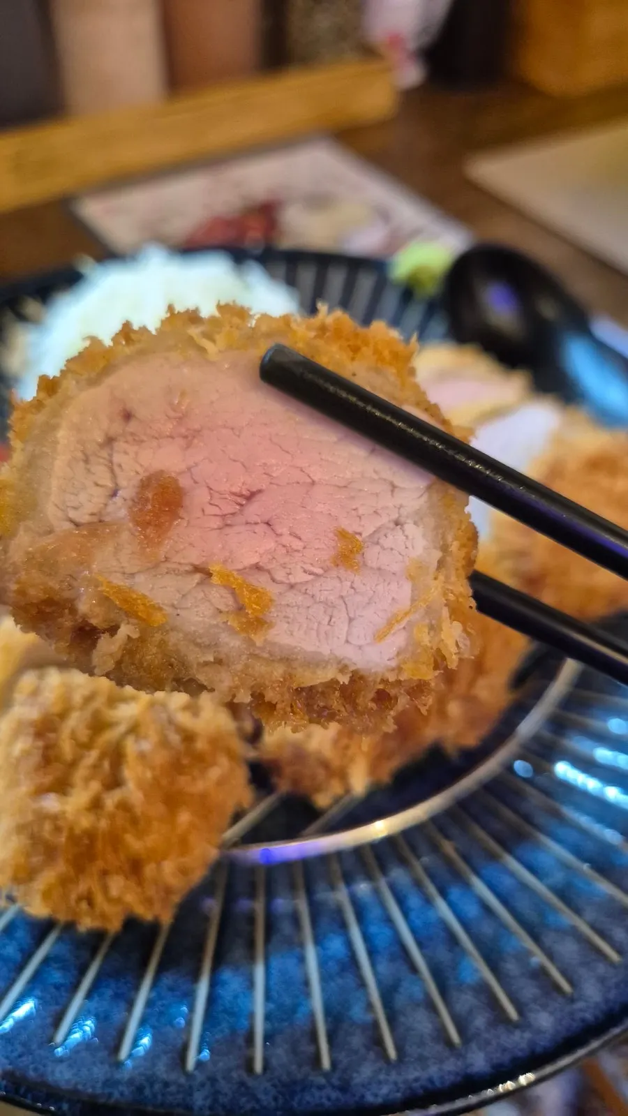 Introduction to food at Gohobi Katsu