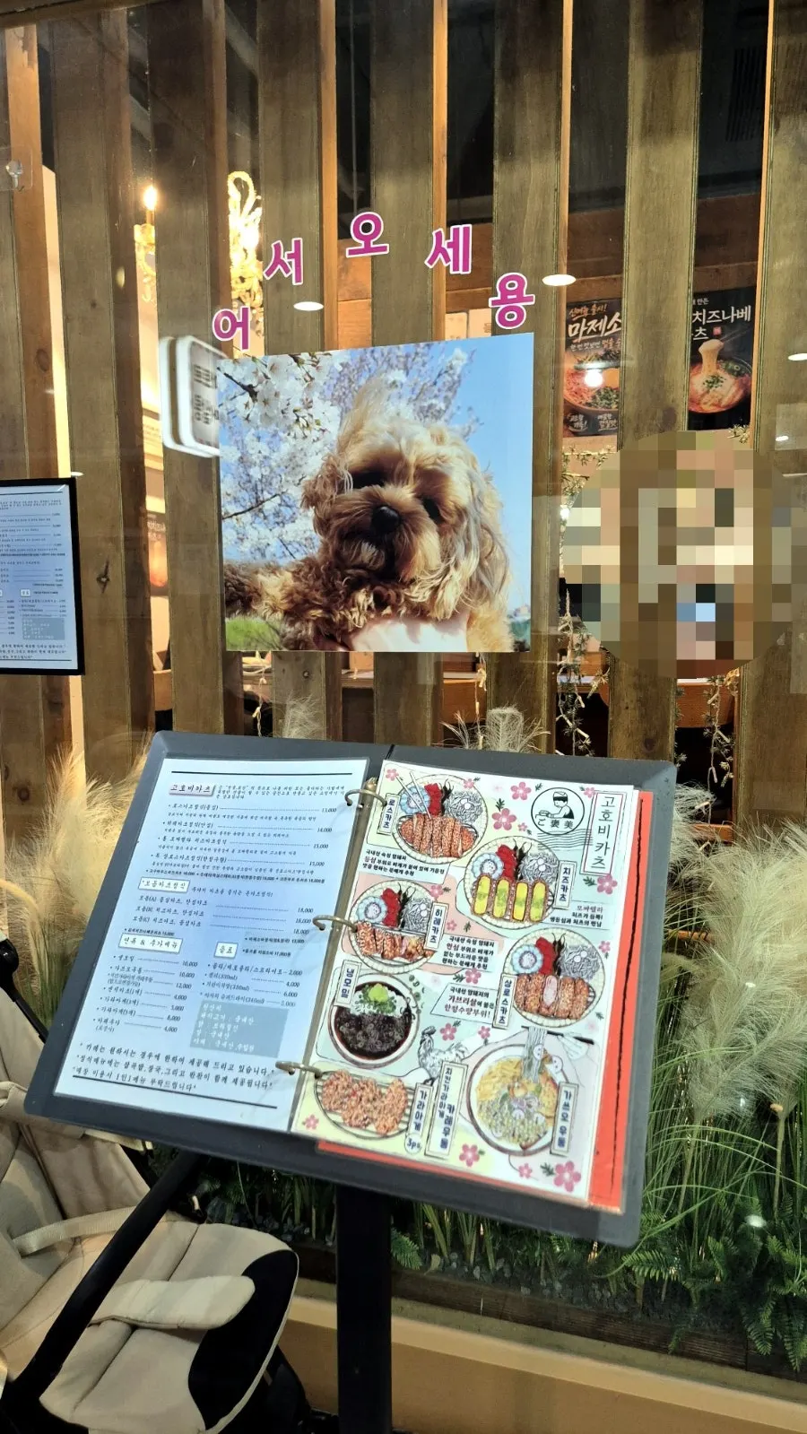 Gohobi Katsu dining information
