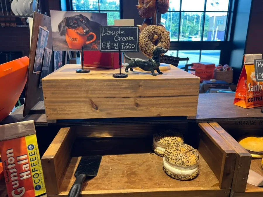 고른 베이글 삼종세트와 모카번