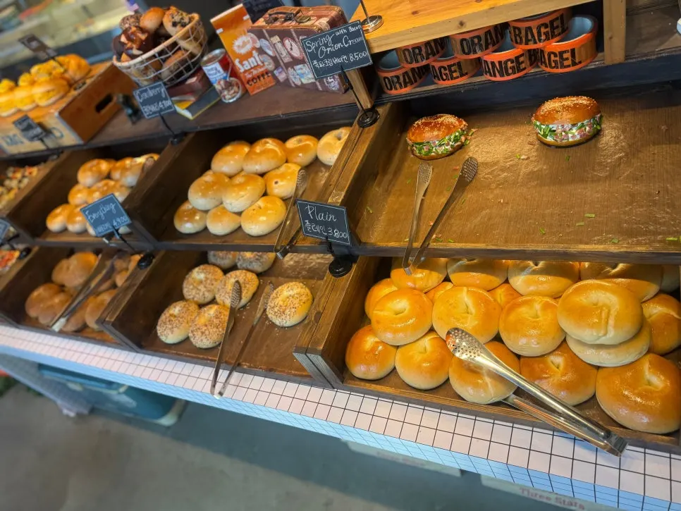Plain and topped bagels on the display counter