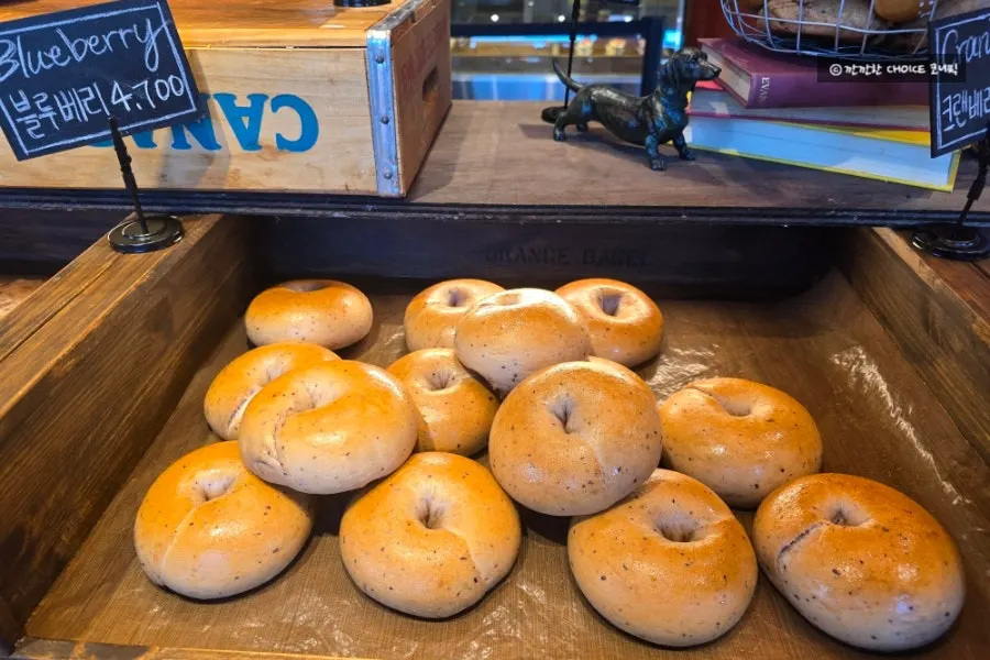 Plain-style bagels on display