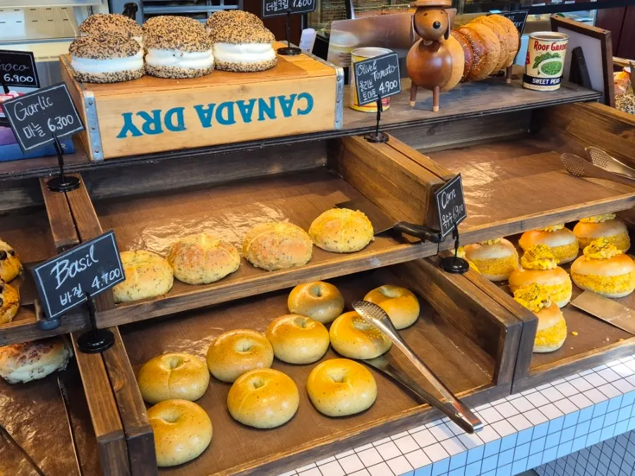 Plain and basil bagels on display