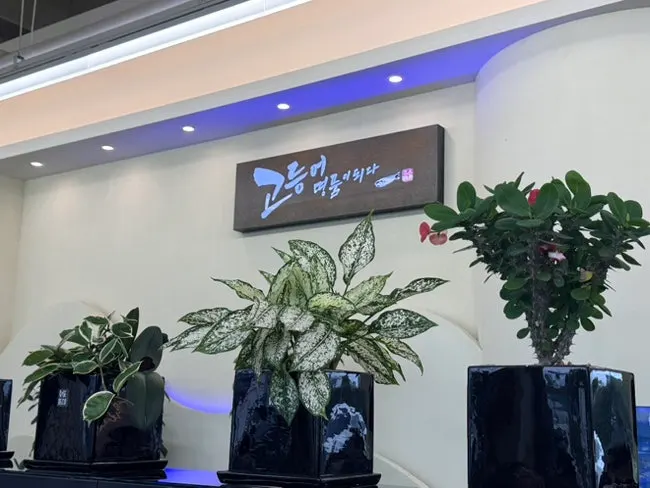 넓고 깔끔한 고등어명품이되다 수원점 매장 내부