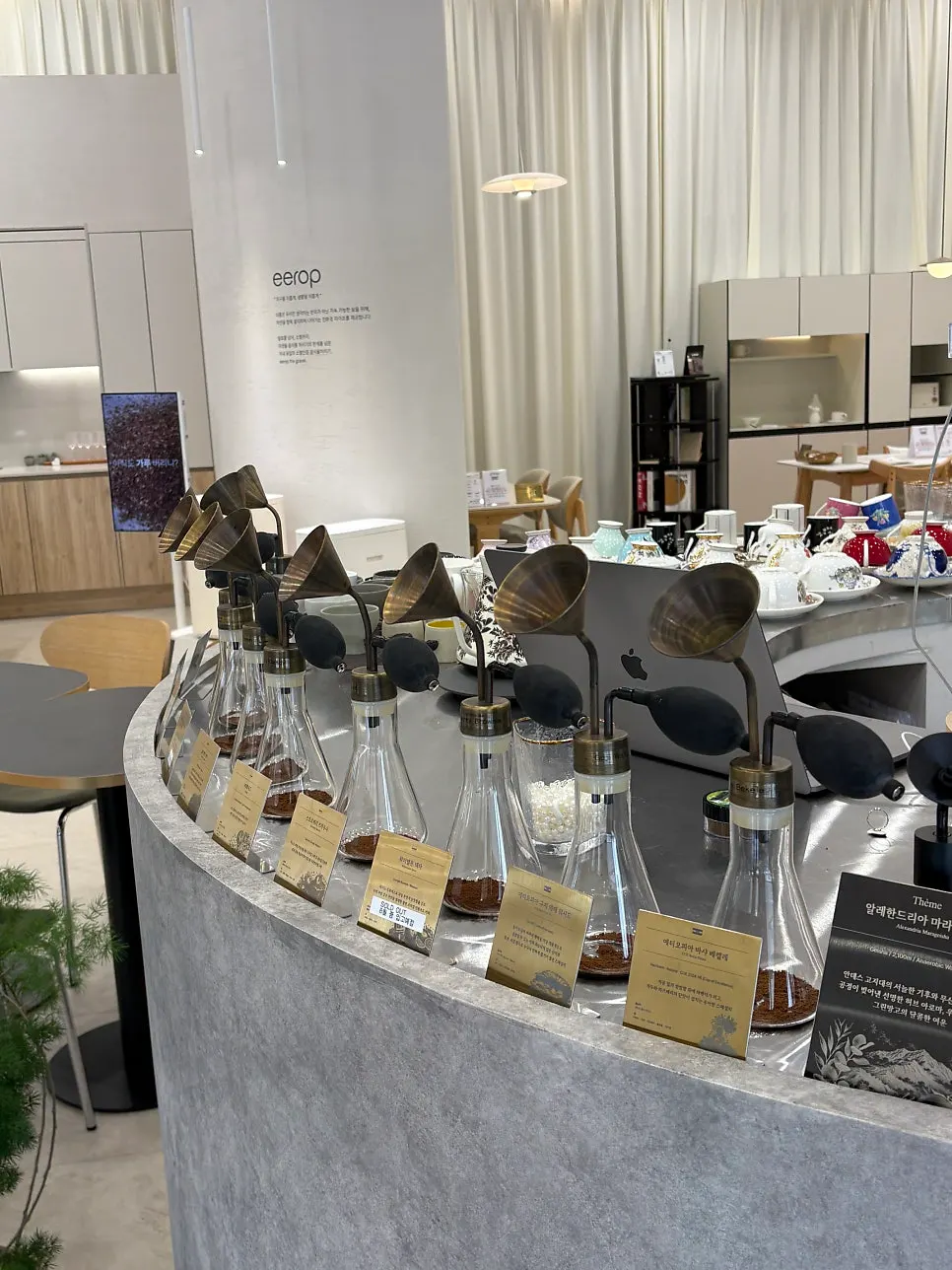 Coffee beans set out for sampling the aroma