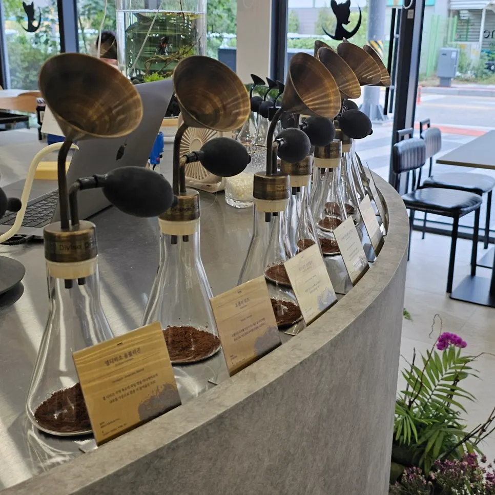Café display space connected to the furniture showroom