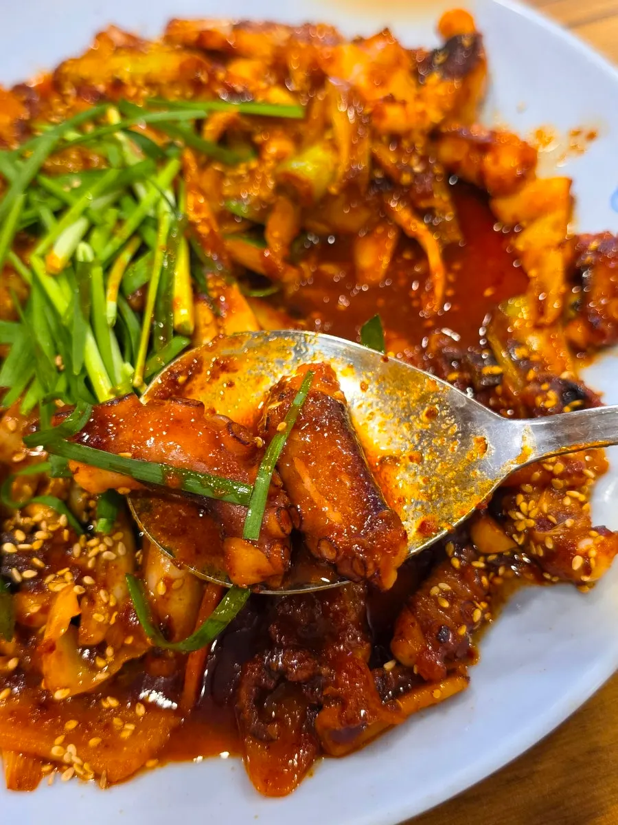 오동통한 낙지와 양배추 양파