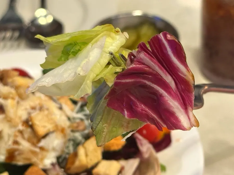 A plate of ricotta cheese salad