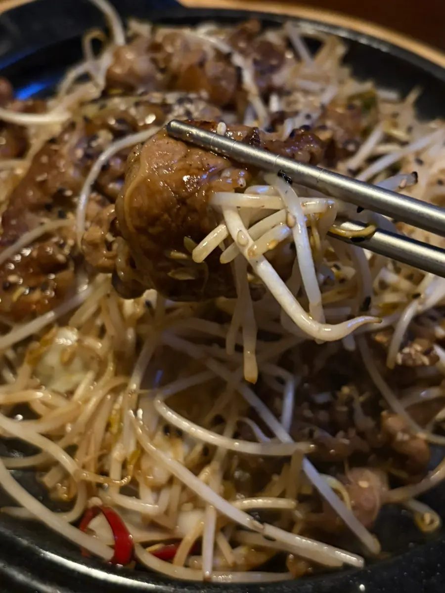 Picking up a bite of beef brisket and beansprouts