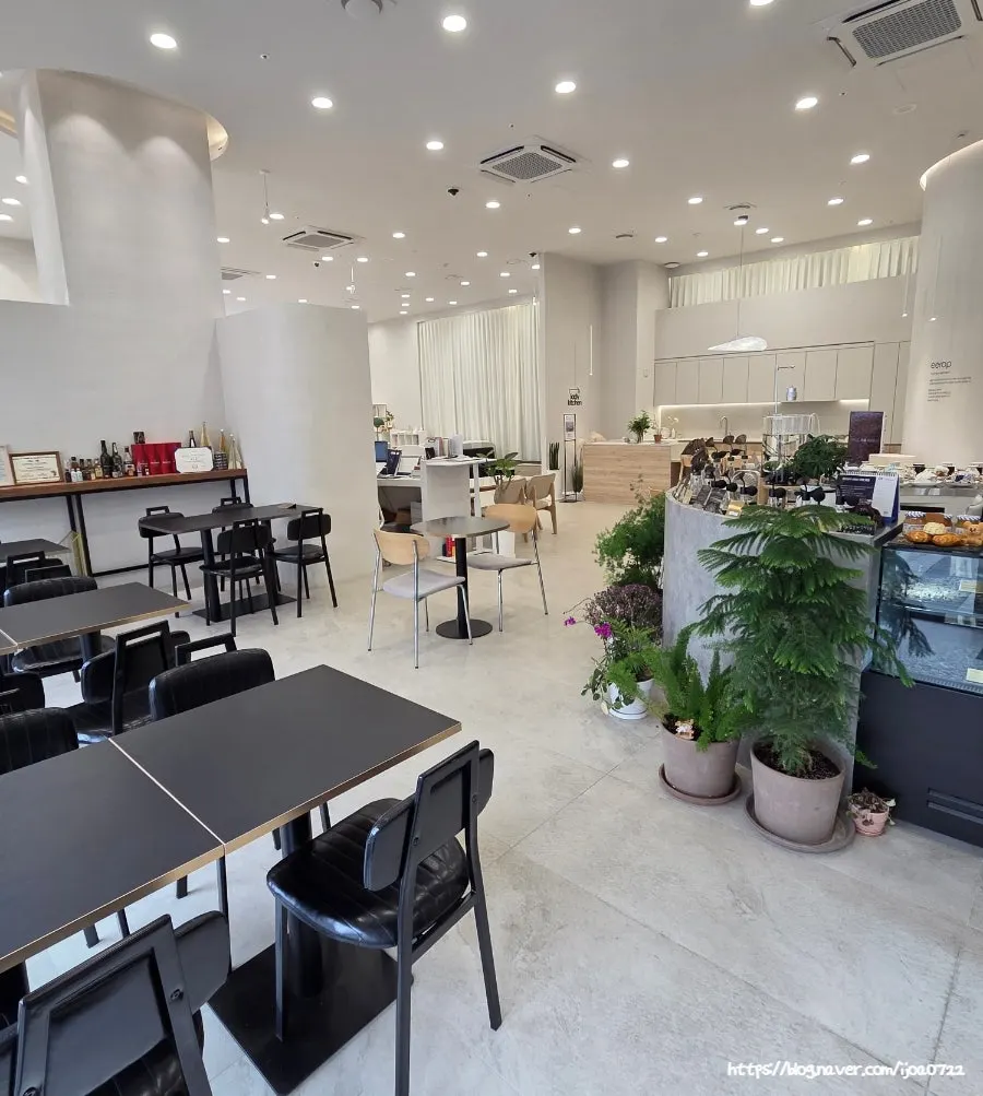 Spacious café seating inside the furniture showroom