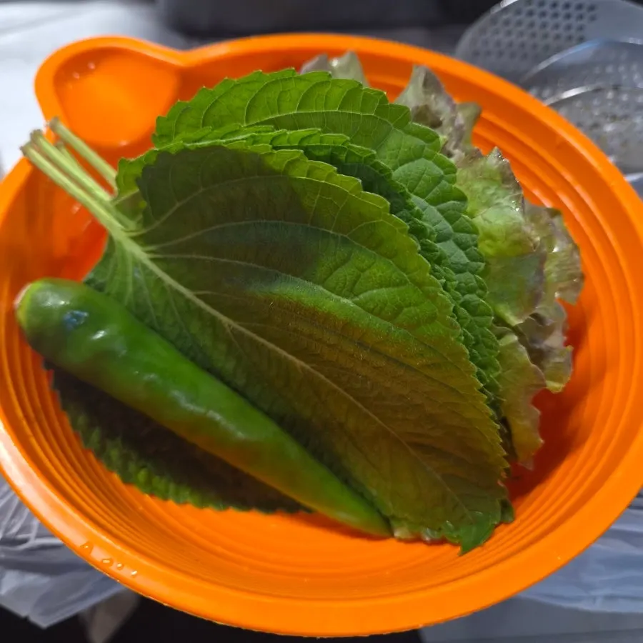 Lettuce and perilla leaves in a retro plastic bowl