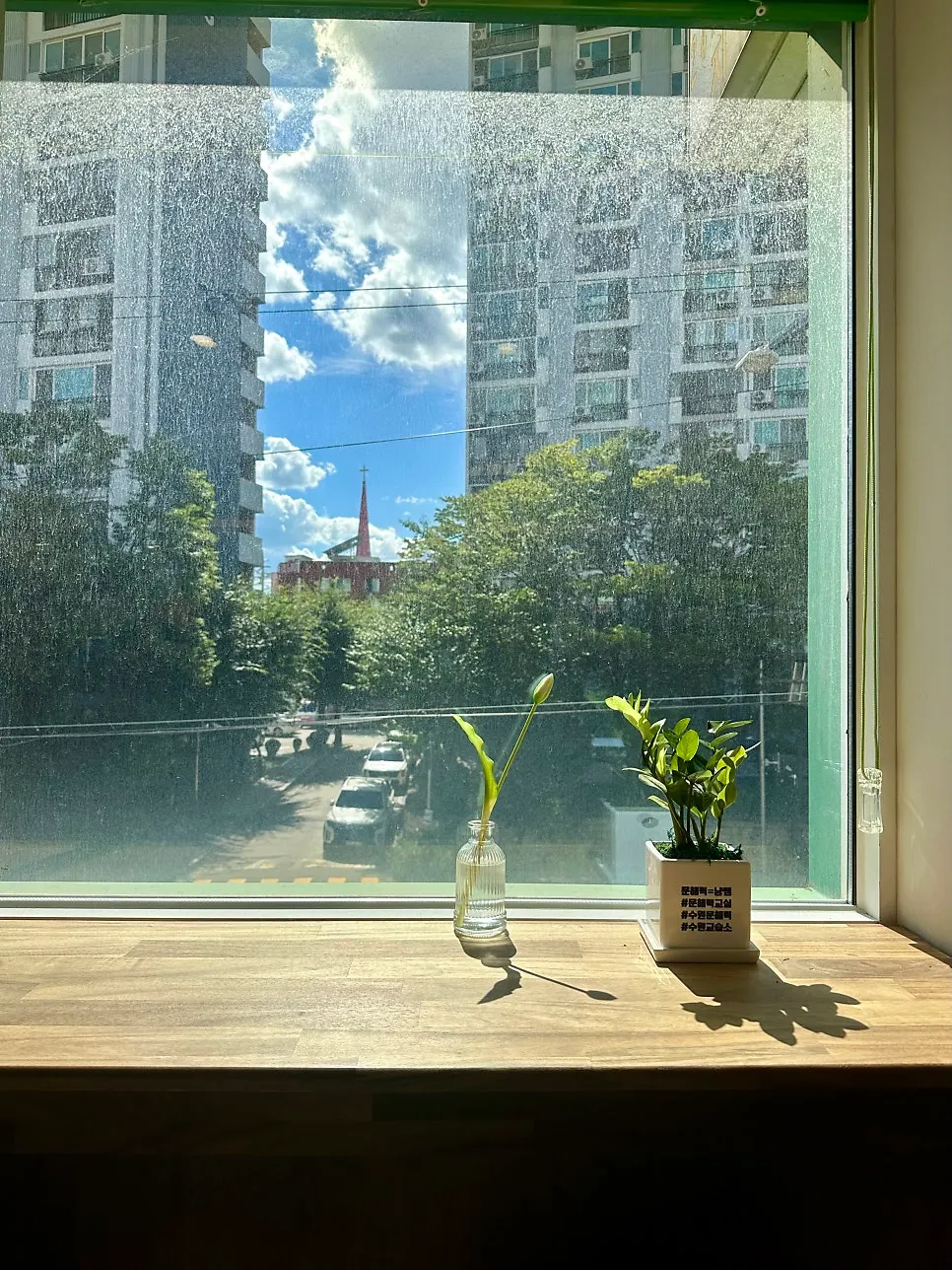 Sunlit window seats in the café