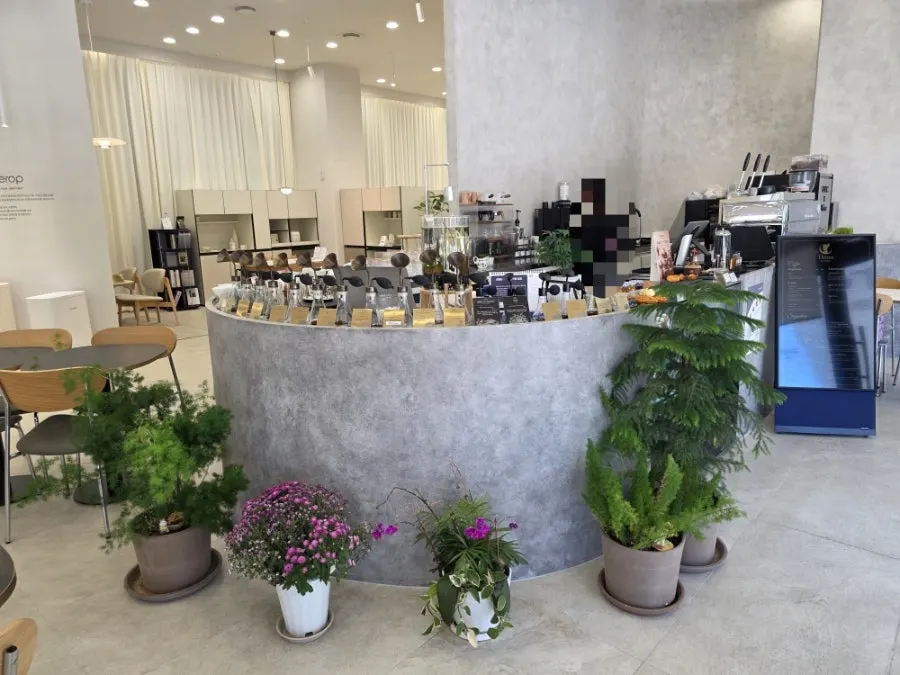 Interior of Tteum Café with spacious seating