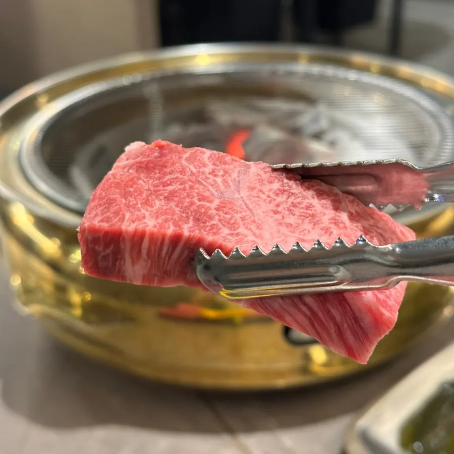 마블링이 살아있는 한우 살치살
