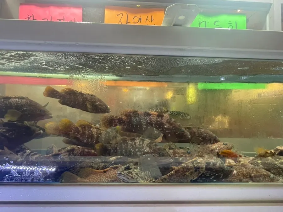 Fish tank and exterior view in front of the restaurant