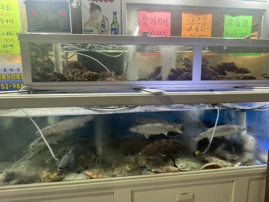 Live fish tank in front of the restaurant
