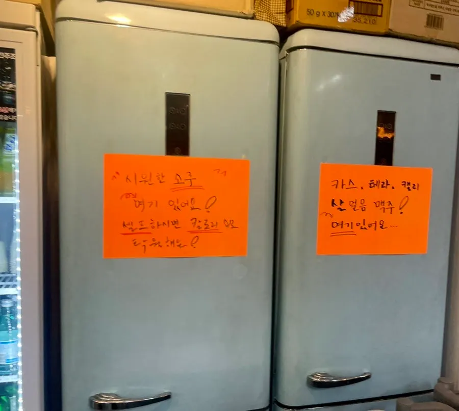 회 상차림과 맥주잔이 놓인 테이블
