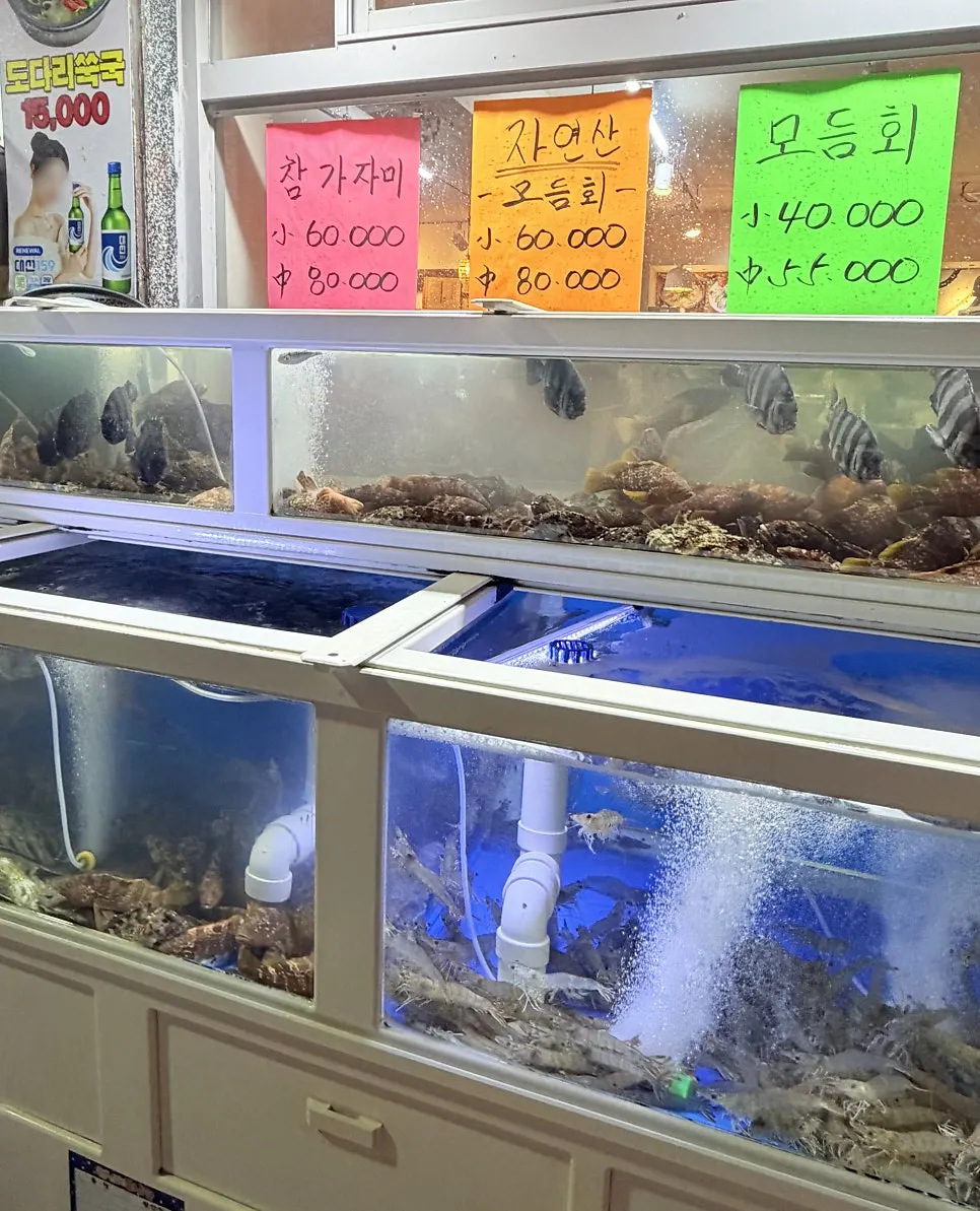 The clean, well-maintained fish tank beside the seating