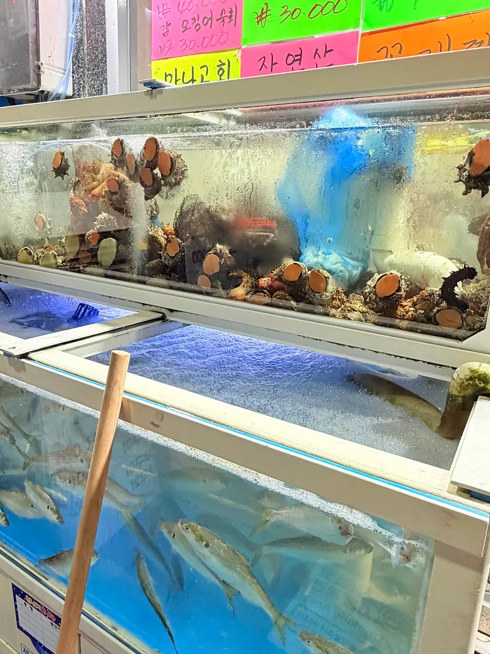 The walkway beside the fish tank inside the restaurant