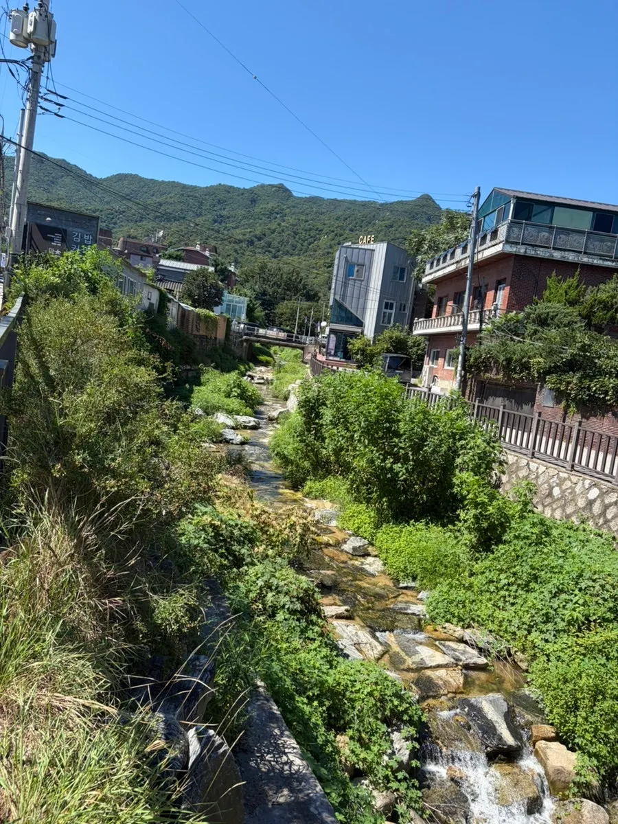 Stream and trees near Bukhansan around the restaurant
