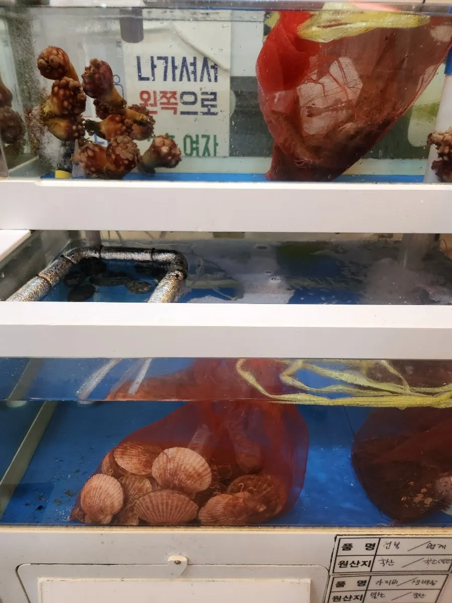 고깃집 안에 놓인 해산물 수족관