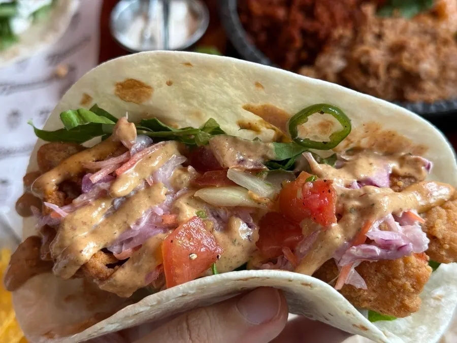 Close-up of a taco packed with fillings