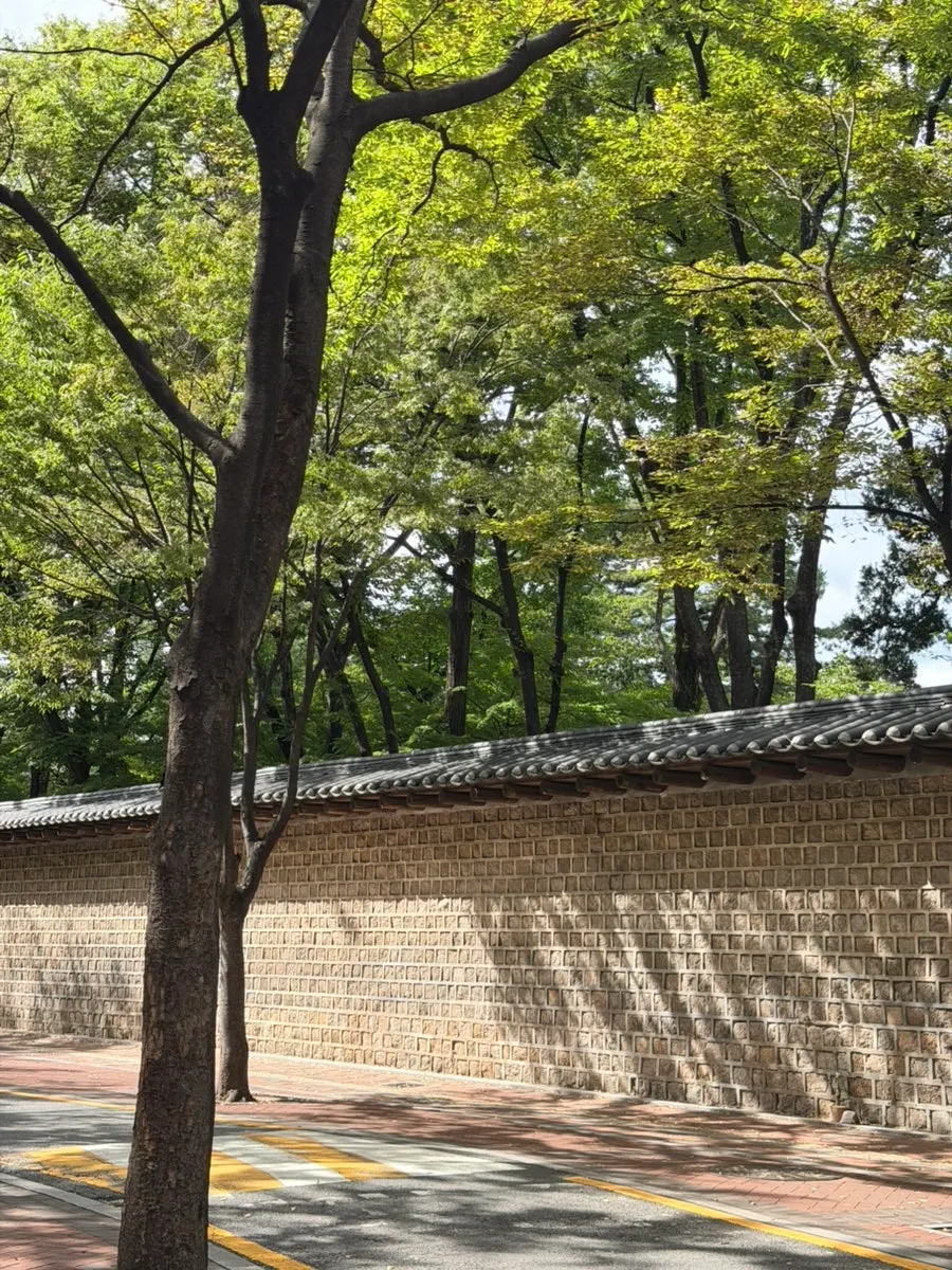 정동길 탄백 한문 간판이 보이는 외관