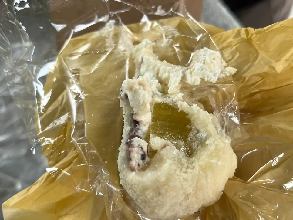 야외에서 즐긴 타르당 과일모찌