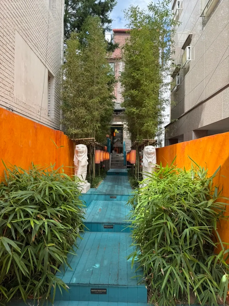 Bamboo lining the entrance to Ttasijia Yeonnam